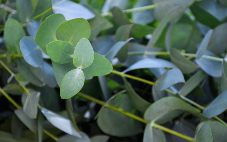 Imagem-2023-12-19T102210